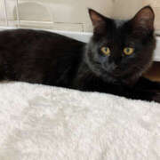 ヒメ日記 2025/06/12 12:11 投稿 ゆに クラブハート