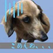 ヒメ日記 2025/07/21 23:56 投稿 しょう子 越谷熟女デリヘル マダムエプロン