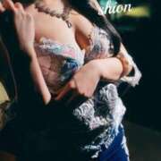 ヒメ日記 2025/11/26 17:19 投稿 SHION『シオン』 GG