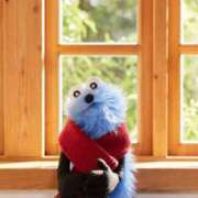 ヒメ日記 2025/02/26 20:58 投稿 さゆり CHERRY WEST(チェリーウエスト)