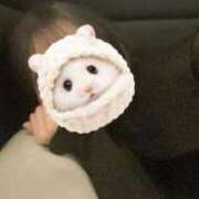 ヒメ日記 2025/04/13 00:33 投稿 白石莉愛 札幌ソフィア