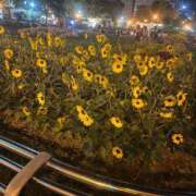 ヒメ日記 2025/08/13 07:48 投稿 白石莉愛 札幌ソフィア