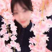 ヒメ日記 2025/04/27 15:02 投稿 さくらこ The White