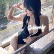 ヒメ日記 2025/05/09 09:01 投稿 さくらこ The White