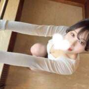 ヒメ日記 2025/05/14 09:01 投稿 さくらこ The White