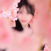 ヒメ日記 2025/05/16 15:02 投稿 さくらこ The White