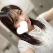 ヒメ日記 2025/05/17 09:01 投稿 さくらこ The White