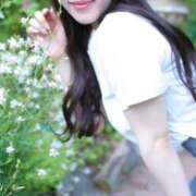 ヒメ日記 2025/06/23 09:01 投稿 さくらこ The White