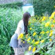 ヒメ日記 2025/06/26 21:02 投稿 さくらこ The White