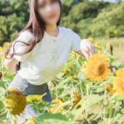 ヒメ日記 2025/09/12 21:02 投稿 さくらこ The White