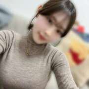 ヒメ日記 2025/11/21 12:05 投稿 さくらこ The White