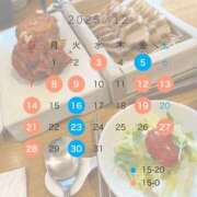 ヒメ日記 2025/12/01 15:01 投稿 さくらこ The White