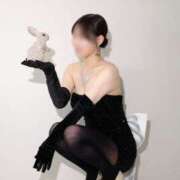 ヒメ日記 2025/12/09 09:01 投稿 さくらこ The White