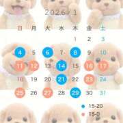 ヒメ日記 2025/12/19 15:01 投稿 さくらこ The White