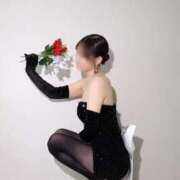 ヒメ日記 2025/12/22 12:02 投稿 さくらこ The White