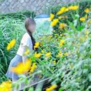 ヒメ日記 2025/12/28 21:01 投稿 さくらこ The White