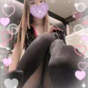 ヒメ日記 2025/04/24 13:01 投稿 ミライお嬢様 M&m Maidとm男の夢物語。