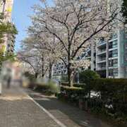 ヒメ日記 2026/04/02 18:02 投稿 ミライお嬢様 M&m Maidとm男の夢物語。