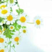 ヒメ日記 2025/12/20 12:32 投稿 みな モアグループ小山人妻花壇