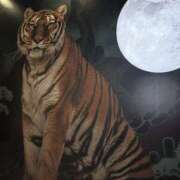 ヒメ日記 2026/03/08 18:30 投稿 みな モアグループ小山人妻花壇