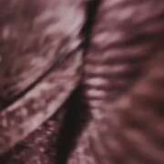 ヒメ日記 2026/03/21 12:00 投稿 みな モアグループ小山人妻花壇