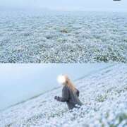 ヒメ日記 2026/04/26 09:00 投稿 みな モアグループ小山人妻花壇