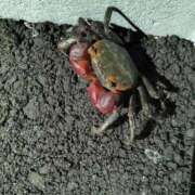 ヒメ日記 2025/06/27 15:10 投稿 麗(れい) エッチな熟女(広島)