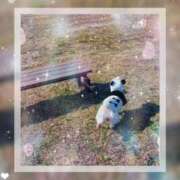 ヒメ日記 2025/12/07 12:30 投稿 麗(れい) エッチな熟女(広島)