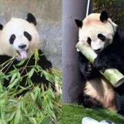 ヒメ日記 2026/01/27 11:10 投稿 麗(れい) エッチな熟女(広島)