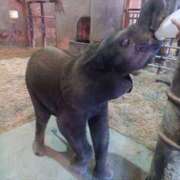 ヒメ日記 2026/02/23 14:40 投稿 麗(れい) エッチな熟女(広島)