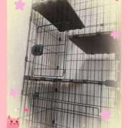ヒメ日記 2026/05/08 10:55 投稿 麗(れい) エッチな熟女(広島)
