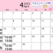 ヒメ日記 2025/04/07 11:11 投稿 あおい ニューヨークニューヨーク
