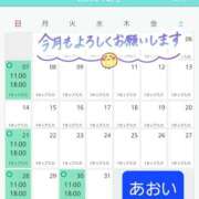 あおい 今月の出勤予定 ニューヨークニューヨーク
