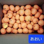 ヒメ日記 2026/01/11 10:19 投稿 あおい ニューヨークニューヨーク