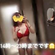 ヒメ日記 2025/03/27 13:55 投稿 なおん 帯広アニバーサリー