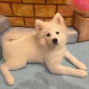 ヒメ日記 2025/01/07 16:03 投稿 華恋【かれん】 輝女