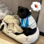 華恋【かれん】 のんびりな休日🧸🍓 輝女