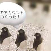 ヒメ日記 2025/12/04 23:11 投稿 りさ 五反田添い寝女子