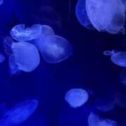 ヒメ日記 2025/01/29 10:00 投稿 なぎさ 吉原アクアパレス