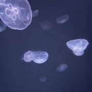 なぎさ ごめんね🥲 吉原アクアパレス