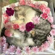 ヒメ日記 2026/02/23 19:30 投稿 牧野 らぃか SUMIRE