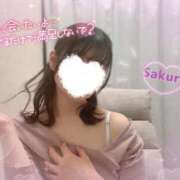 ヒメ日記 2025/03/15 18:15 投稿 桜(さくら) 高崎回春性感SPA