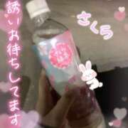 ヒメ日記 2025/04/12 12:15 投稿 桜(さくら) 高崎回春性感SPA