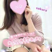 ヒメ日記 2026/03/19 15:46 投稿 桜(さくら) 高崎回春性感SPA
