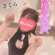 ヒメ日記 2026/04/30 19:30 投稿 桜(さくら) 高崎回春性感SPA