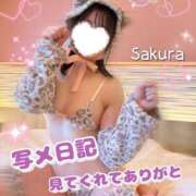 ヒメ日記 2026/09/11 20:31 投稿 桜(さくら) 高崎回春性感SPA