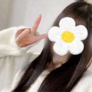 ヒメ日記 2025/02/08 09:30 投稿 ここね アラモード