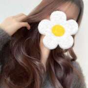 ヒメ日記 2025/02/26 08:51 投稿 ここね アラモード