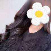 ヒメ日記 2025/06/18 11:30 投稿 ここね アラモード