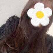 ヒメ日記 2025/06/22 07:44 投稿 ここね アラモード